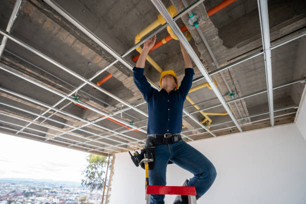 Best Local Plumber Services  in Whitwell, TN